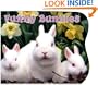 Funny Bunnies