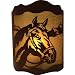 Rivers Edge Products 10 X 13 Horse Wall Light