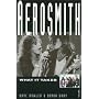 Aerosmith: What It Takes