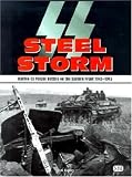 Cover of SS Steel Storm by Tim Ripley 076030937X