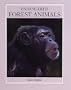 Endangered Forest Animals (Endangered Animals (Crabtree Paperback))