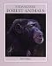 Endangered Forest Animals (Endangered Animals Series)