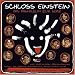 Schloss Einstein-das Fan-Album zur Serie