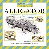 Alligator