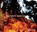 SONIC FOUNDRY Steve Tibbetts, Friendly Fire (Windows)