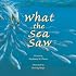 What the Sea Saw