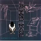Blueprints to Maddness by Blind Rage