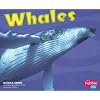 Whales (Under the Sea (Capstone Paperback))