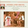 H�nsel und Gretel (Gesamtaufnahme)