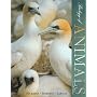 Biology of Animals