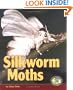 Silkworm Moths (Early Bird Nature)
