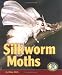 Book Silkworm Moths (Early Bird Nature Books)