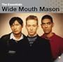 The Essentials (Wide Mouth Mason)