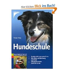 Hundeschule: Hundgerecht lernen ohne Stress. Motivation und Belohnung statt Strafe. Erfolgreich erziehen Schritt f�r Schritt