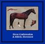 Horse Conformation & Athletic Movement
