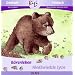 B�renleben /Niedzwiedzie zycie: Deutsch-polnische Ausgabe