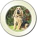 BLOODHOUND DOG Tax Disc Holder