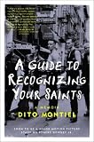 A Guide to Recognizing Your Saints: A Memoir