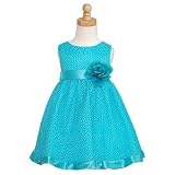 Rare Editions Girls Aqua Polka Dot Mesh Easter Flower Girl Dress 2T-14