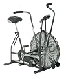 Schwinn Airdyne Upright Exercise Bike