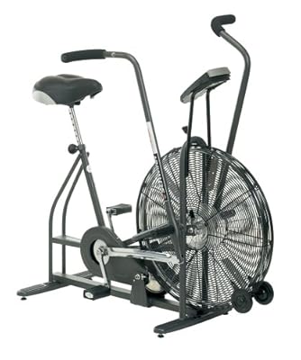 Schwinn Airdyne AD4 Upright Exercise Bike