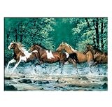 Tree-Free Greetings Spring Creek Run Premium Magnet, 2.5 x 3.5 Inches, Multicolored (73009)