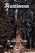 Book Numinous