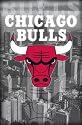 Chicago Bulls Logo POSTER Kirk Hinrich Eddy Curry NBA - 24" x 36"
