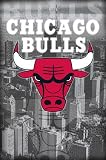 Chicago Bulls Logo Kirk Hinrich Eddy Curry Nba Art Poster Print - 24