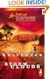 Storm Clouds (Everyday Heroes, Book 3) (Steeple Hill Love Inspired Suspense #7)