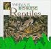 Book Reptiles (Stone, Lynn M. Animals in Disguise.)