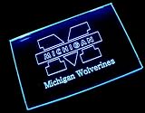 NCAA Michigan Team Logo Neon Light Sign