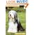BEARDED COLLIE (Pet Owner's Guide Series)
