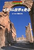 イスラム世界を走る (グレートジャーニー・人類5万キロの旅)