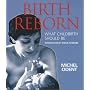 Birth Reborn: What Childbirth Should Be
