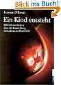 Ein Kind entsteht