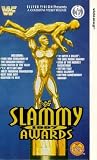 Review Silver Vision  / Wwf Slammy Awards 1997