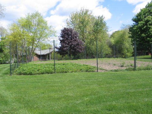 Deer Fence - Standard 6 Ft By 50 Ft Complete Kit