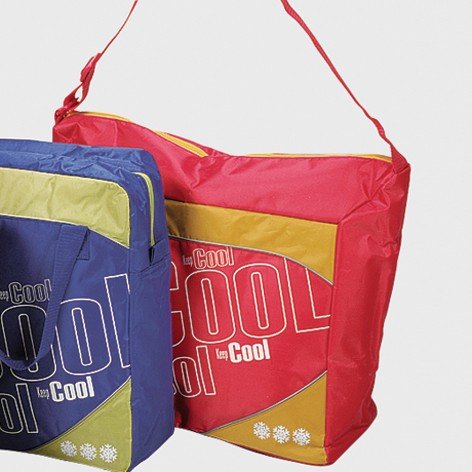 IPV 706140 K&uuml;hltasche \"Keep Cool\" Holiday 20.5 x 51 x 39.5 cm Preisvergleich