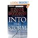 Into the Storm (Troubleshooters, Book 10)