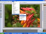 Picture It! Digital Image Pro 7 [Old Version]