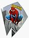 The Amazing SPIDER-MAN Diamond Kite