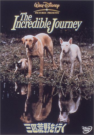 三匹荒野を行く