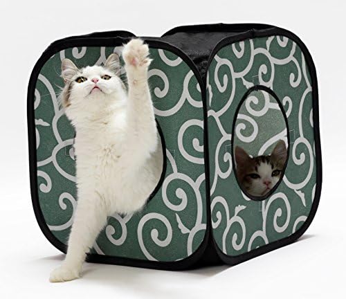 Set of 2 Ninja Cat Cubes/the Best Cat Toy (Green)