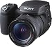 SONY DSC-R1 