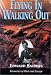 Search : Flying in, Walking Out