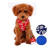 "Denim Cool" Reversible Mesh Panel Vest Harness & Leash Set for Dogs and Cats - Blue Denim