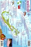 Bermuda Mini-map & Reef Creatures Identification Guide - Fish ID