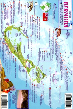 Bermuda Mini-map & Reef Creatures Identification Guide - Fish ID
