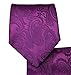Paisley Men's Tie and Pocket Square Sets